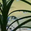 水滴
