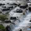雨上がりの川の流れ