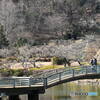 薬師池公園の お散歩