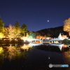 今日の薬師池公園のライトアップ②