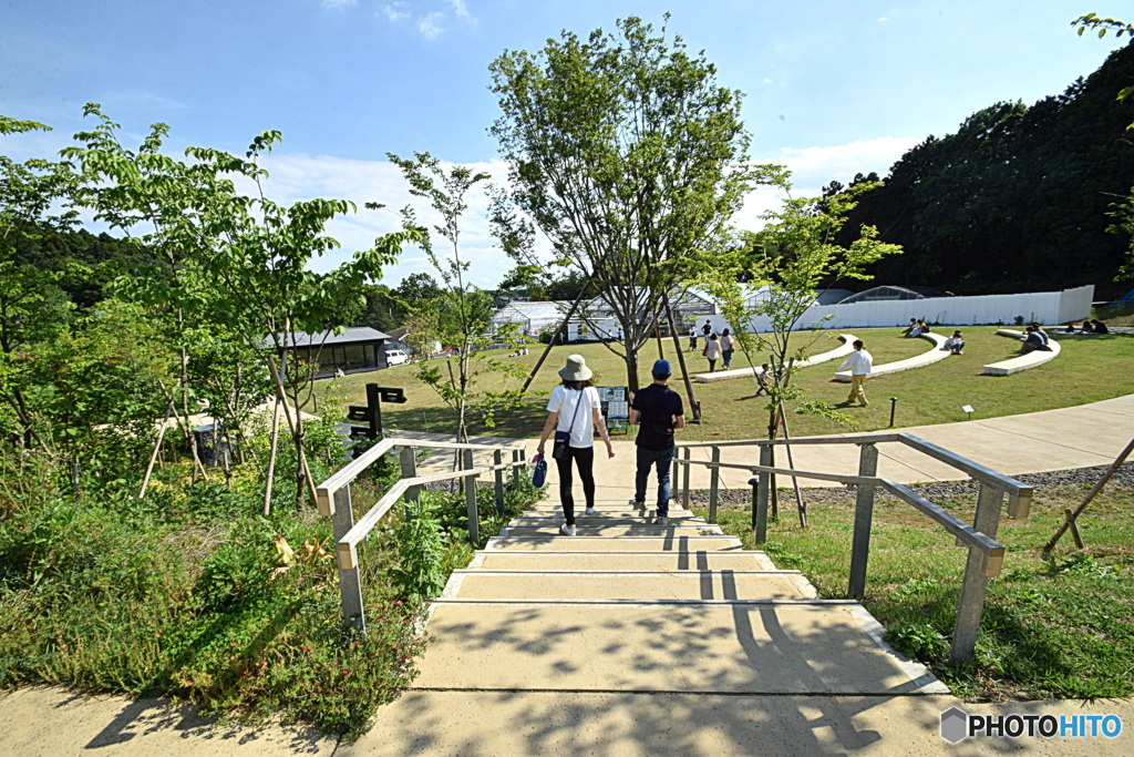 町田薬師池公園 四季彩の杜　西園