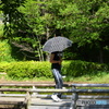 日傘が欲しい季節