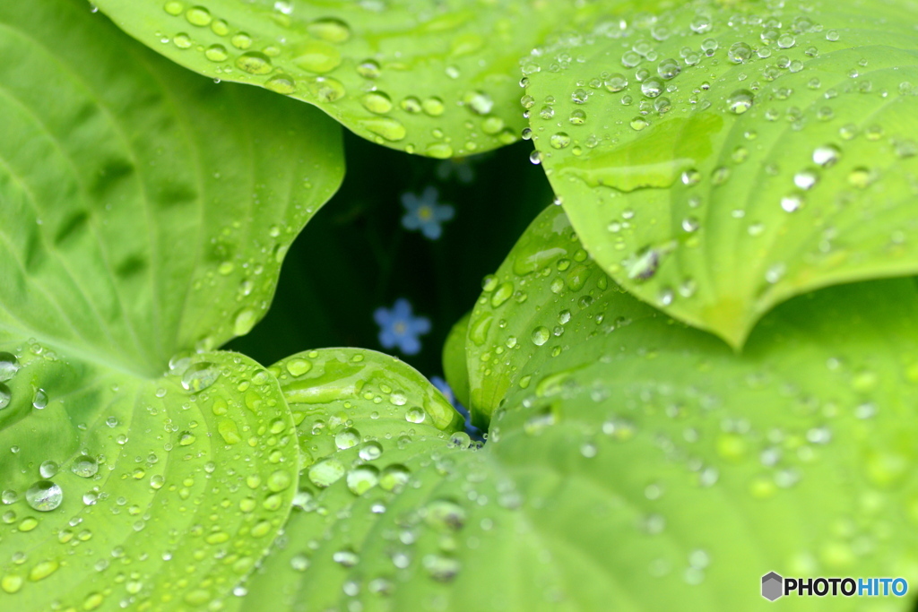 雨宿り
