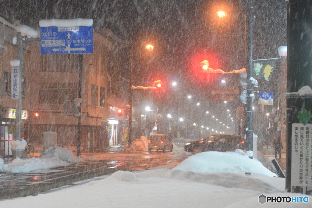 お散歩の帰り道、雪が降ってきました