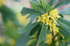 本当に春が来たんですね