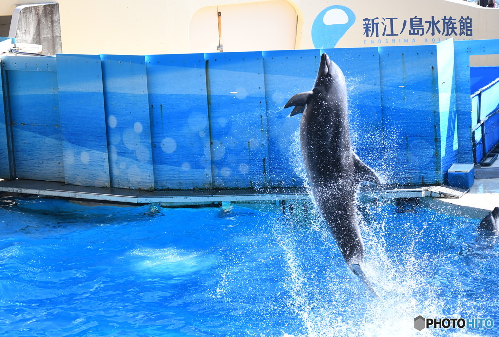 江ノ島水族館