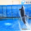 江ノ島水族館