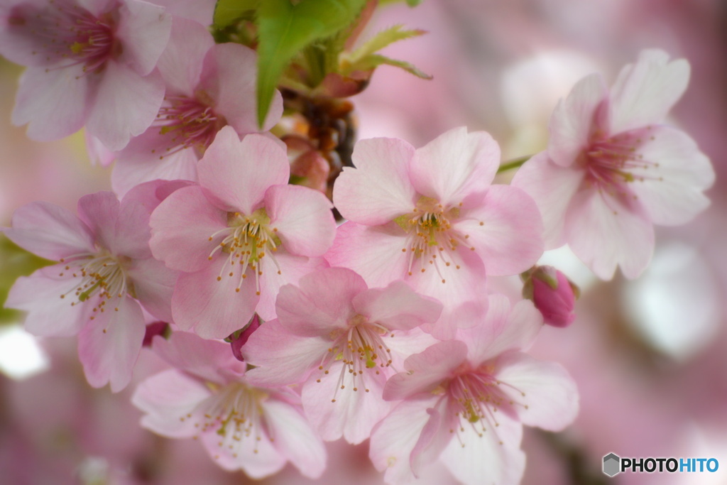 みんな元気を出してね