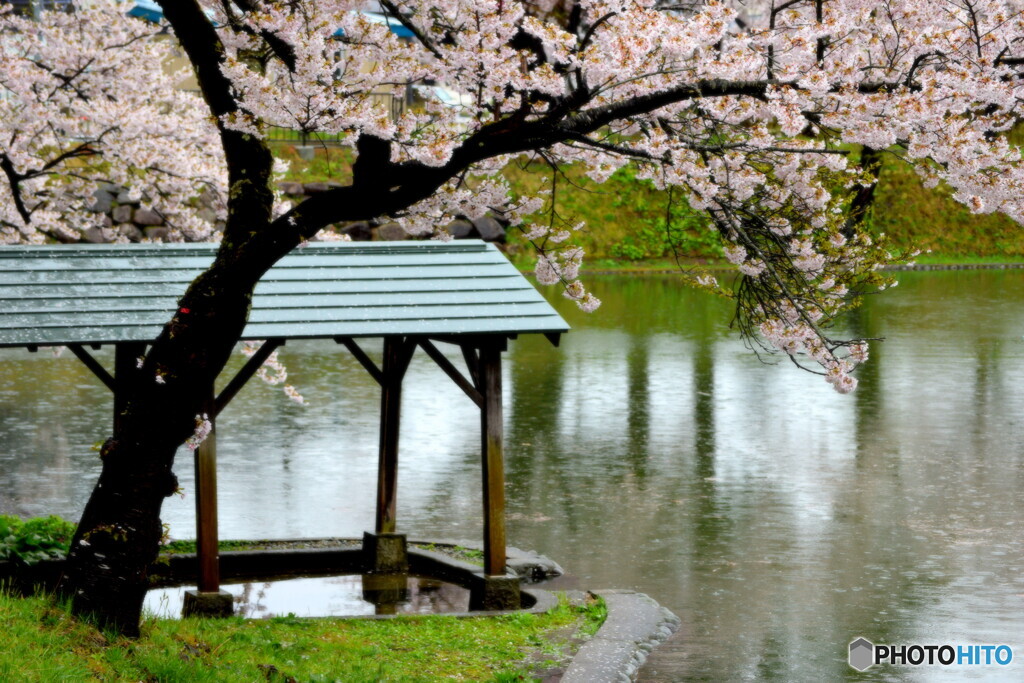 静かなお堀です