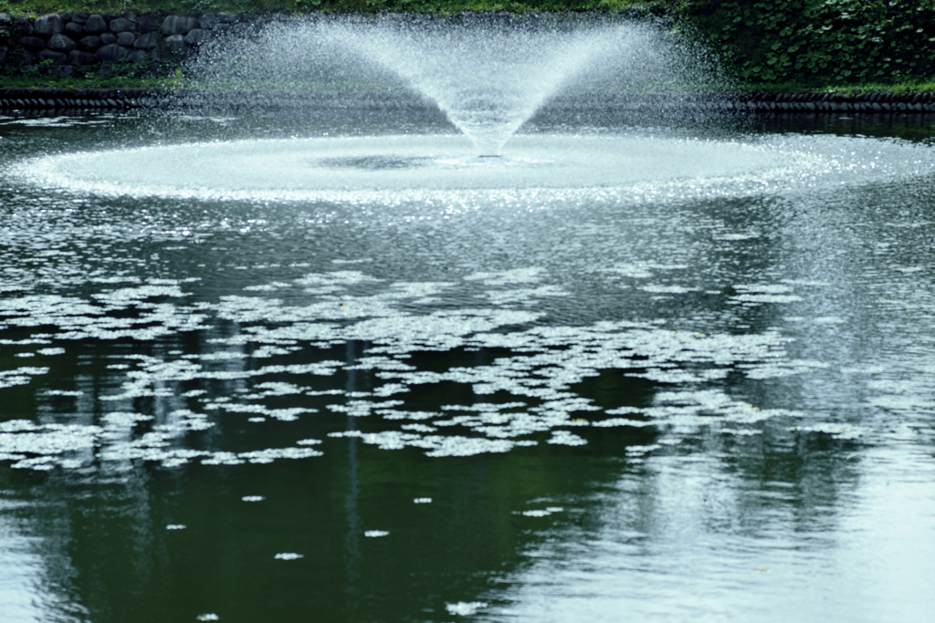 公園の噴水