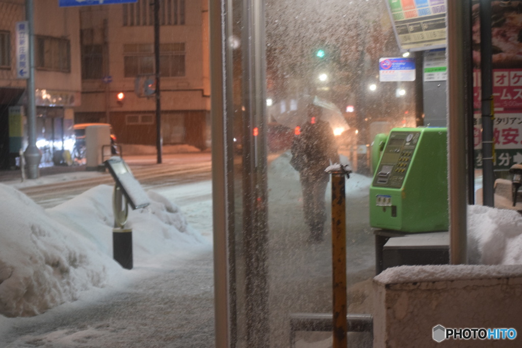 今日は雪になりました