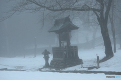 霧の朝の お散歩