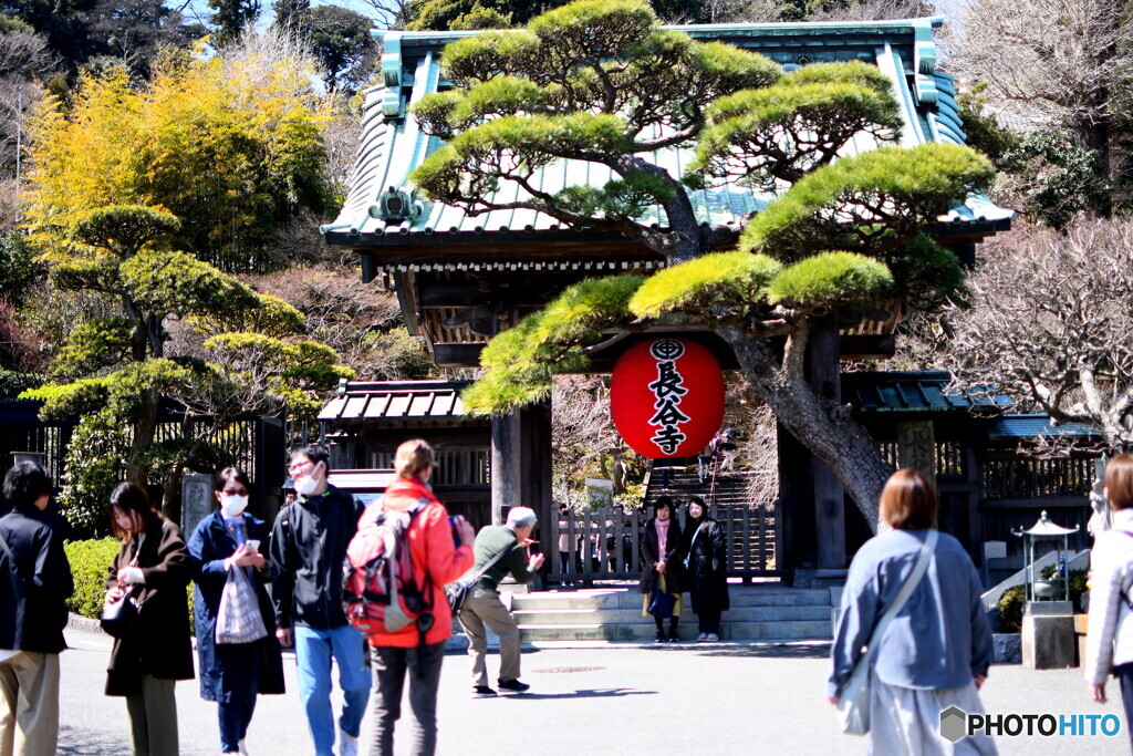 長谷寺前で 記念撮影