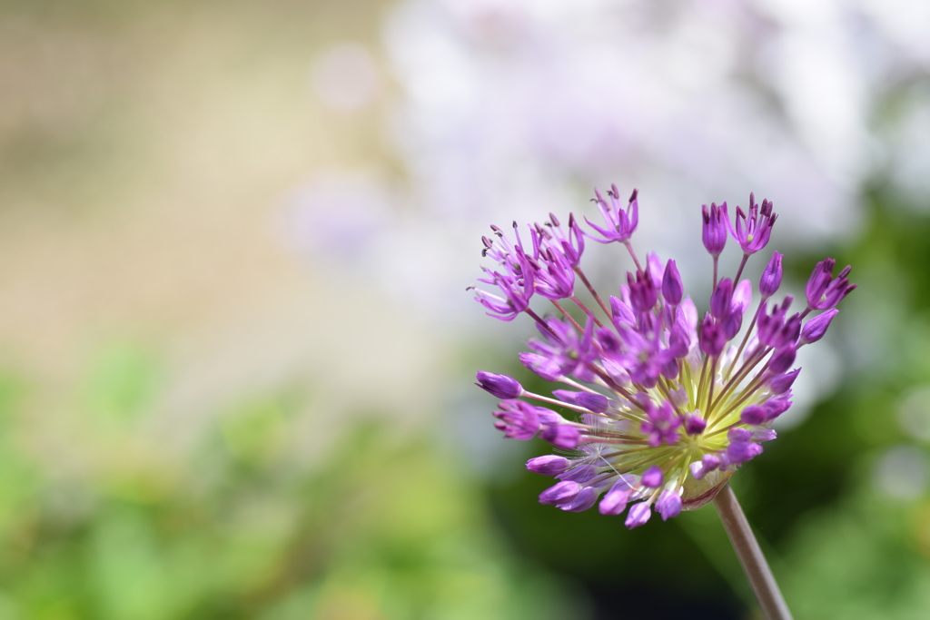 今日も元気でいきましょう！