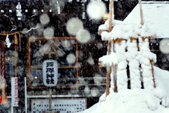 今朝は吹雪でした