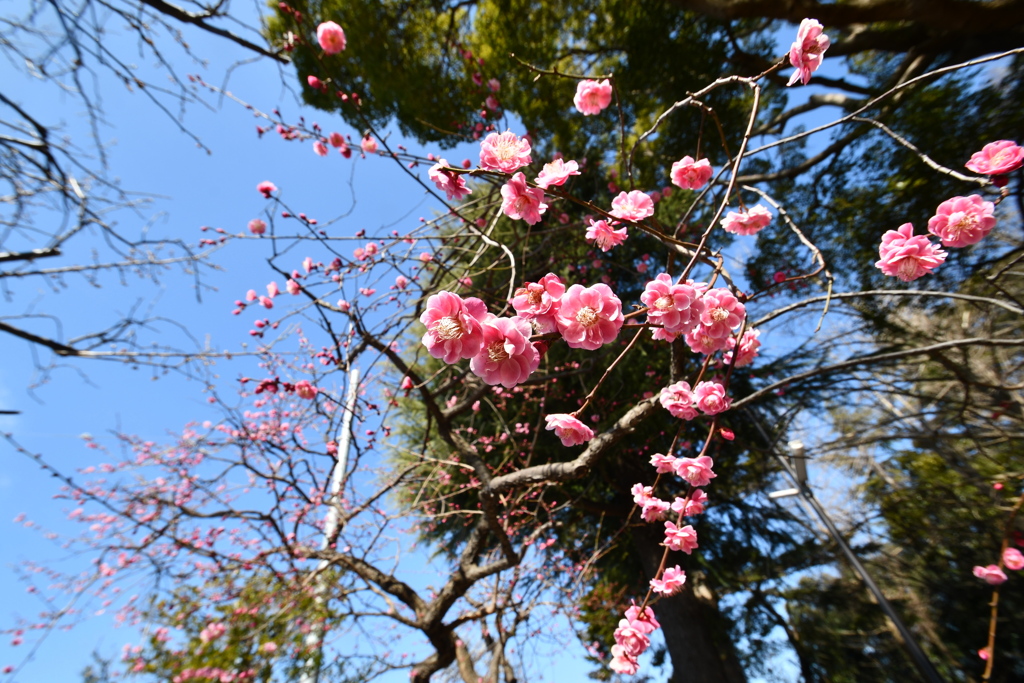 超広角レンズで撮ってみました＾＾