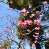 超広角レンズで撮ってみました＾＾
