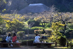 公園で、秋を楽しむ人たち