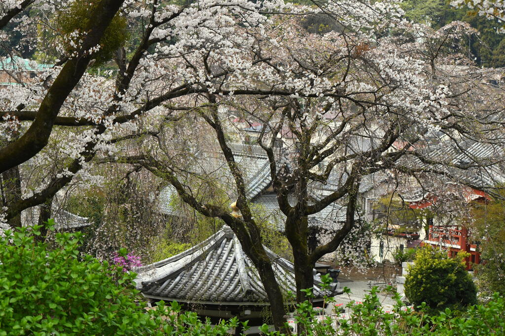 宏善寺