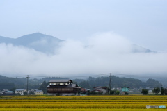 田舎の朝