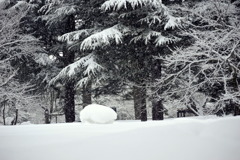 積雪２メートルの公園