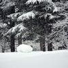 積雪２メートルの公園