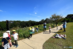 子供たちのお散歩