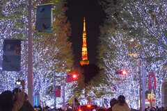 けやき坂のイルミネーション