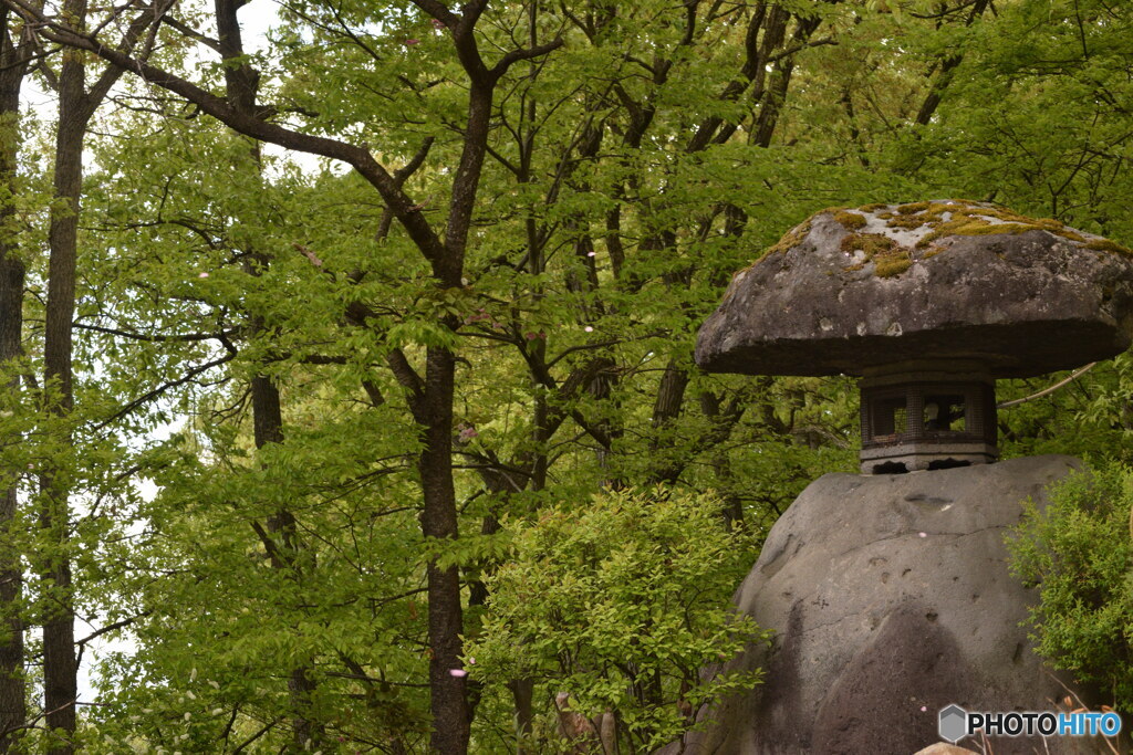 新緑と石塔