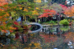 心字池の紅葉