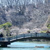 3月の薬師池公園