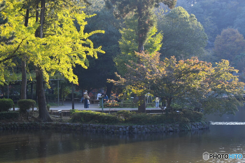 少し秋色に 薬師池公園