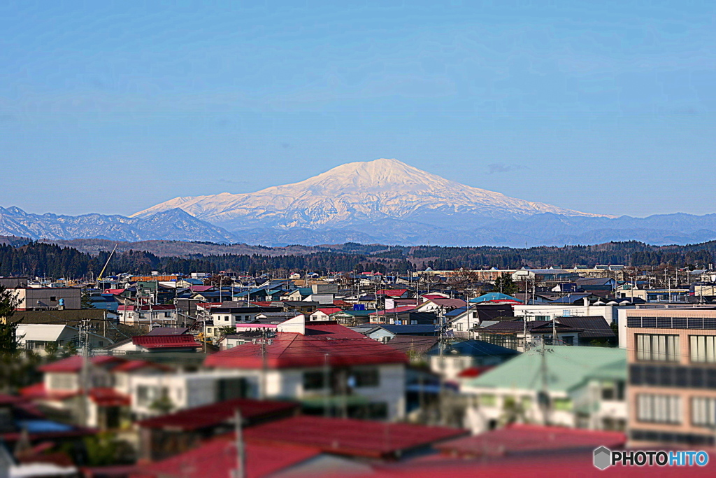 １２月なのに、まるで春♪