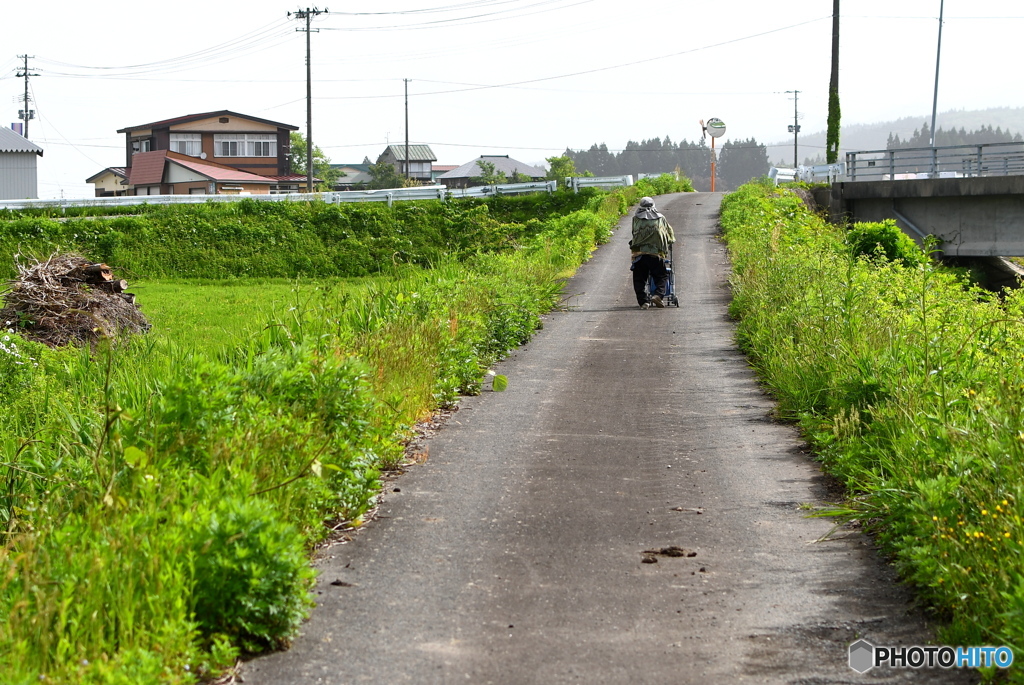 お散歩する人