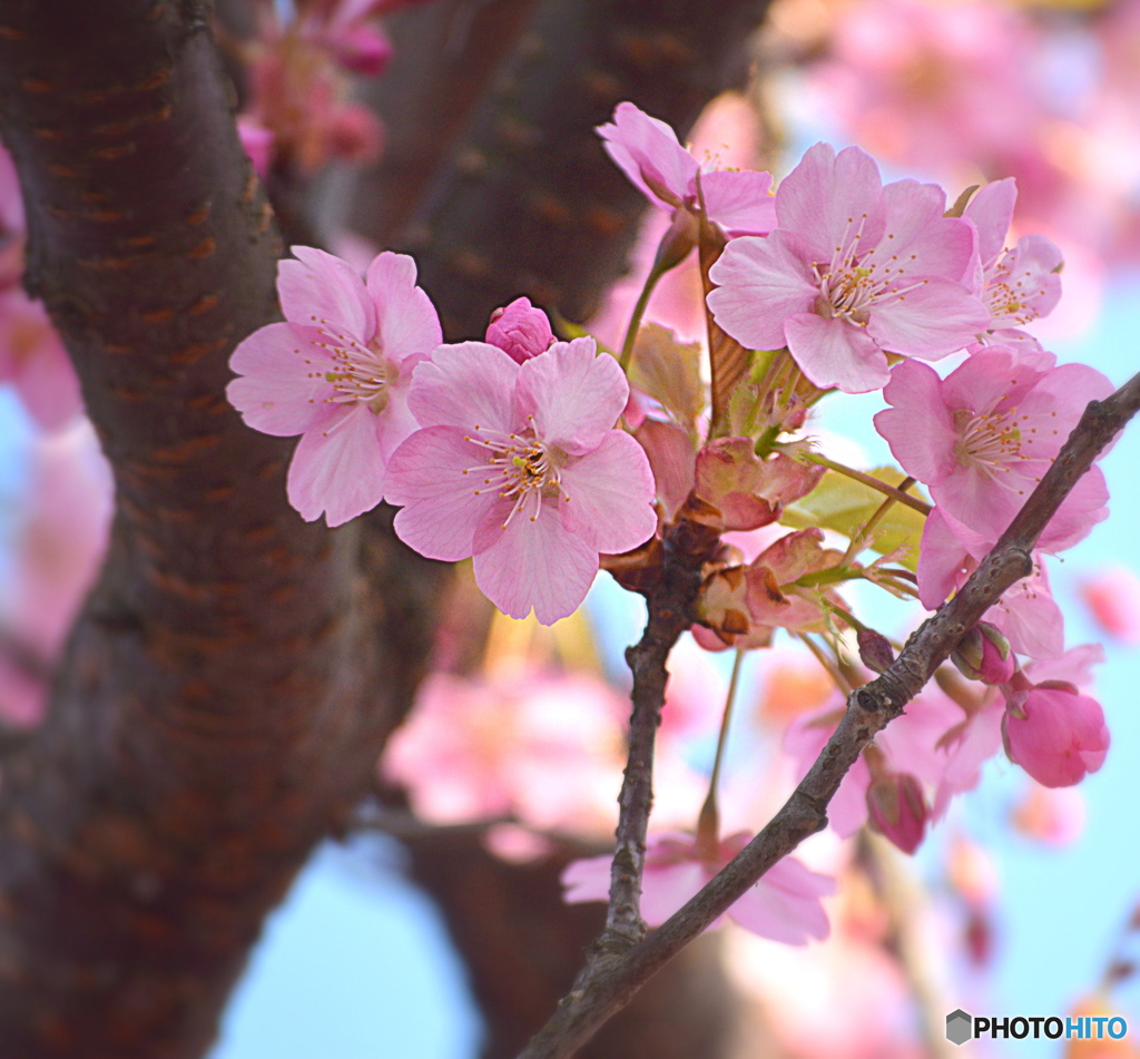 皆さんお元気でいてください