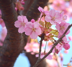 皆さんお元気でいてください