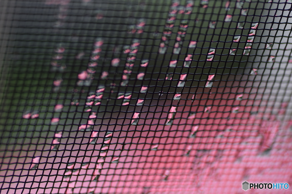 雨の日の 網戸