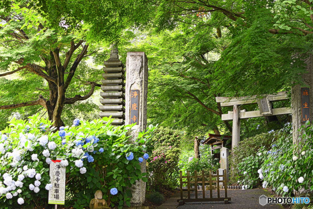 川崎・浄慶寺①