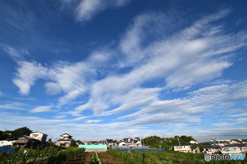 今朝の空