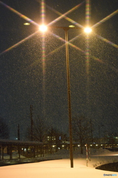 今夜は小雪です