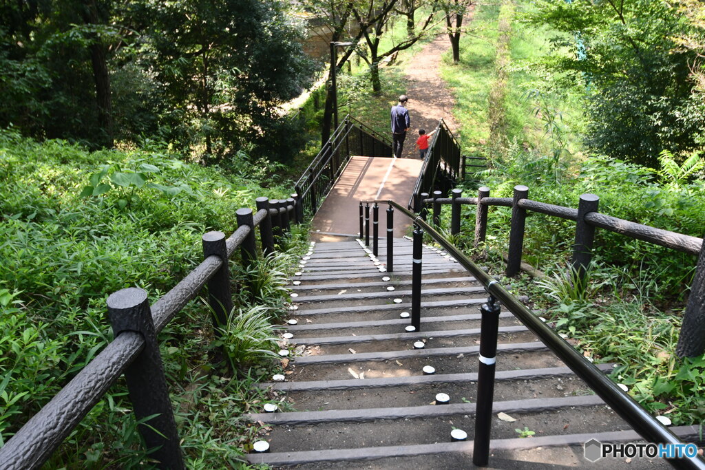 忠生公園①