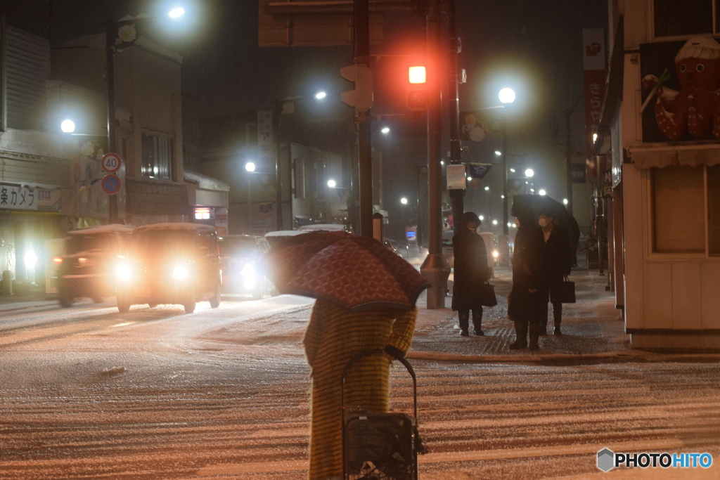 今日は、また雪になりました