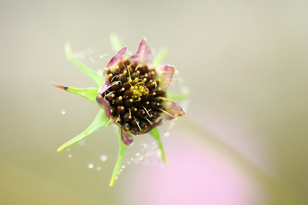 おはようございます