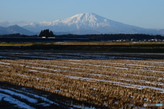 今日の鳥海山、綺麗でした
