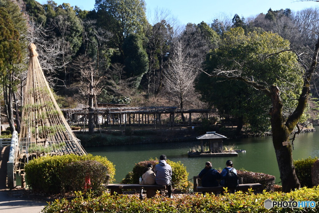 のどかな薬師池公園