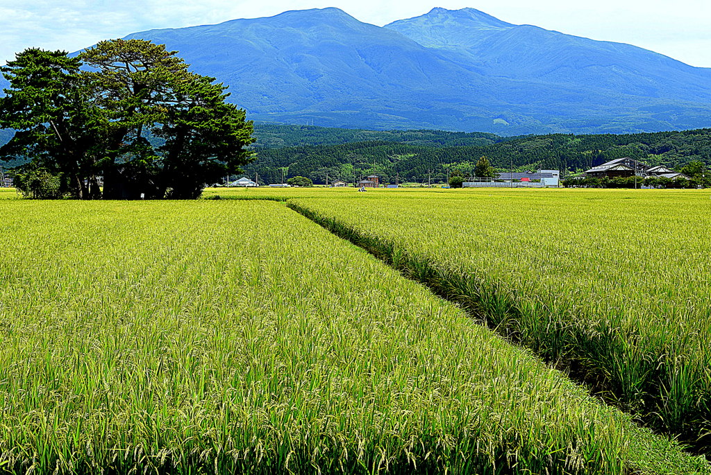 鳥海山