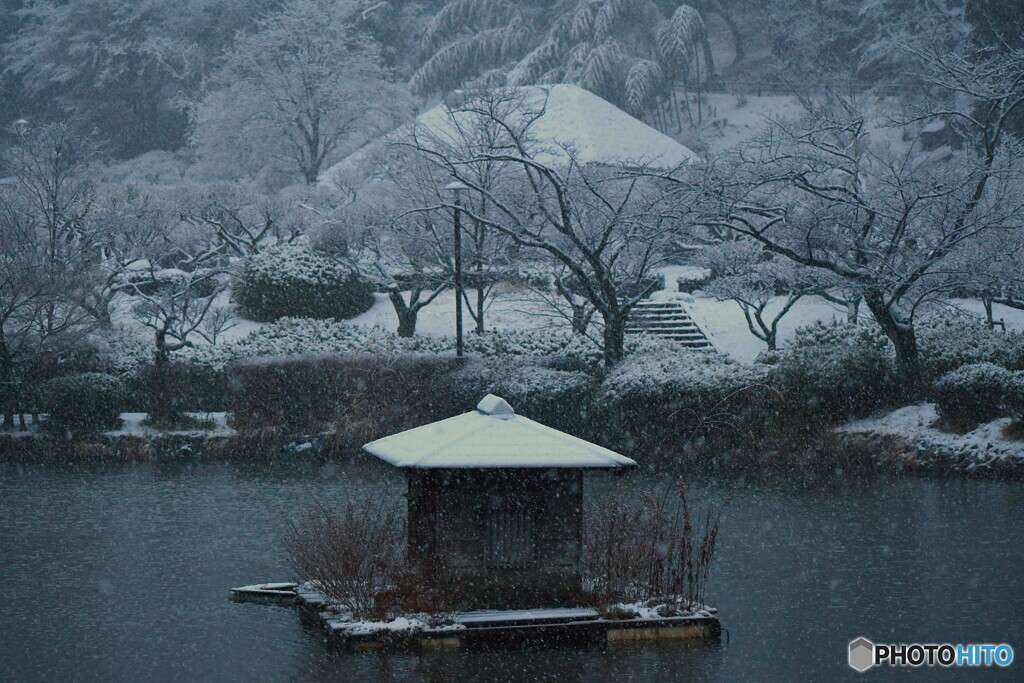 雪降る薬師池公園