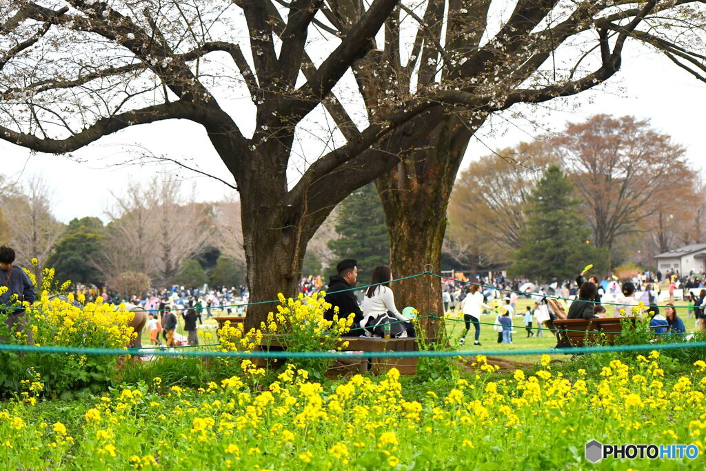 昭和記念公園①