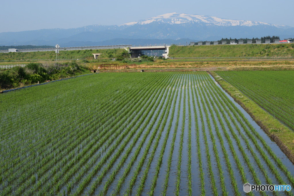「行くぜ、東北」に参加させていただきました。