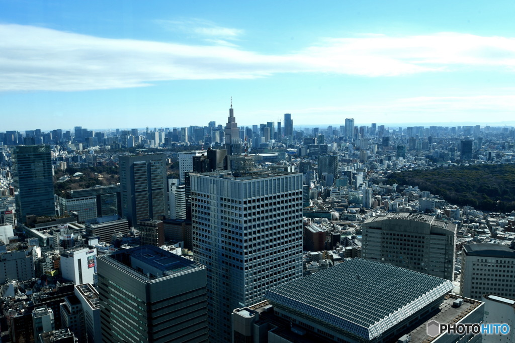 都庁の展望室から①
